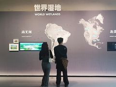 -中国湿地博物馆