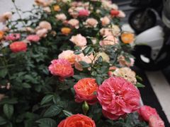 -湖北省美术院美术馆