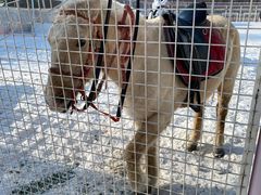 -沈阳奥体冰雪嘉年华