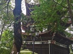 -香园自助小火锅