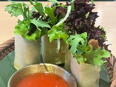 -mango tree芒果树(万象城店)