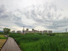 -永定河休闲森林公园