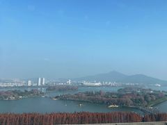 -湖景知味西餐厅•自助餐• 轻食(南京金茂威斯汀大酒店)