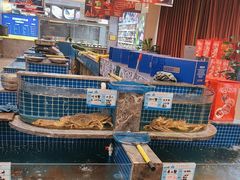 -骏莱海鲜鱼港(五角场店)