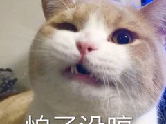 -丰和轩餐厅(西四环南路辅路店)