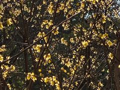 -证大大拇指广场(芳甸路店)