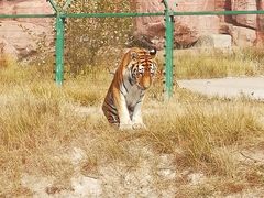 -鄂尔多斯野生动物园