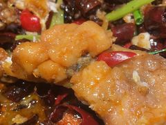 -老板恋上鱼(高新万达店)