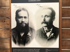 -怀托摩萤火虫洞