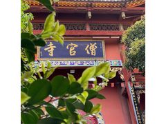 -铁山坪森林公园