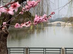 -月湖风景区