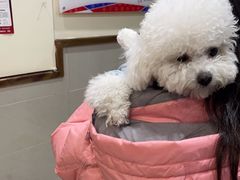 -艾贝尔宠物医院·24H转诊中心·肿瘤猫专科(江宁双龙店)
