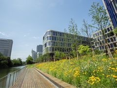 -上海盛视天橙传媒股份有限公司