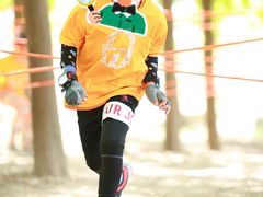 -春花秋色城市公园