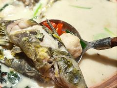 -佬麻雀·剁椒鱼头(京基KK One店)