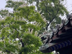 -潭柘寺景区