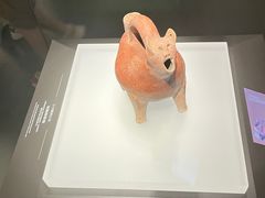 -山东博物馆