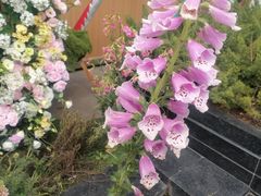 -首开·龙湖成都西宸天街