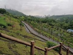 -李宁体育园