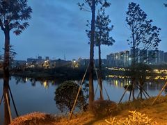 -枫香湖儿童公园