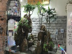 -丽江庭院之丽江往事(安定门店)