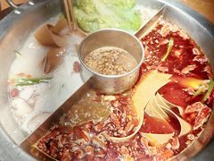 -佬土鹅肠火锅(解放路店)