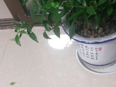 -德克士(东城店)