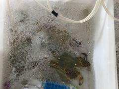 -那香海钻石沙滩浴场