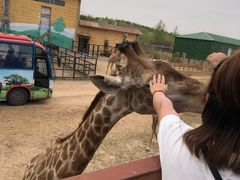 -鄂尔多斯野生动物园