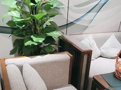 -8号厚厨(凤凰店)