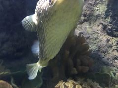 -多彩贵州城极地海洋世界