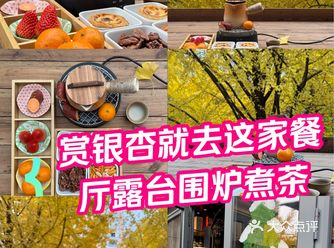 黄金城道赏银杏最佳位置，在露台围炉煮茶看银杏