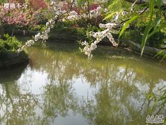 -南汇桃花村