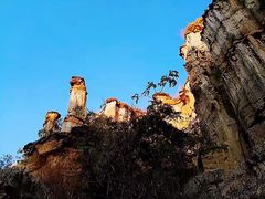 -元谋土林景区(物茂土林)