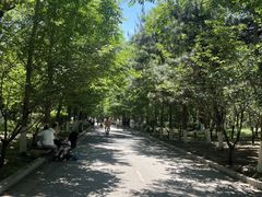 -长白岛森林公园