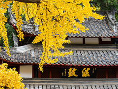-成都市文殊院