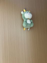 -上海市嘉定区妇幼保健院
