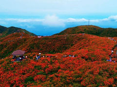 -大围山国家森林公园