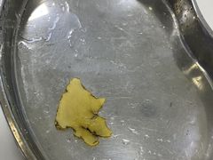 -美联众合动物医院·24h转诊中心