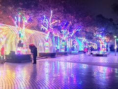 -秋水广场音乐喷泉