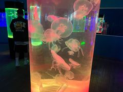 -苏州海洋馆
