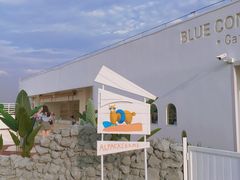-Blue Concept Cafe&Farm·關於藍