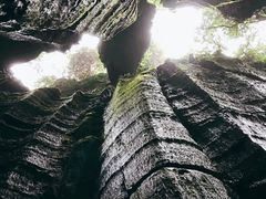 -梦幻奥陶纪景区