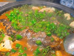 -探鱼·鲜青椒爽麻烤鱼(苏宁广场店)