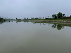 -长兴太湖图影湿地文化园