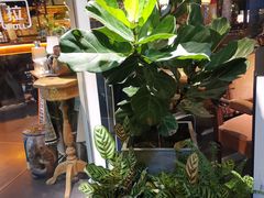 -杂咖zacup(领展中心城店)
