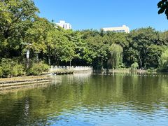 -金花茶公园