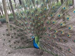 -昆山城市生态森林公园