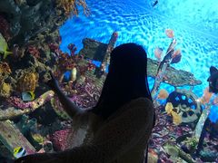 -暹罗海洋世界