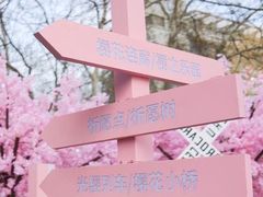 -金茂览秀城